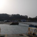 달리도 민박 이미지