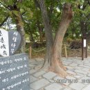 상림농장 이미지