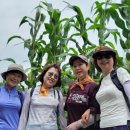 명당3리 경로당 이미지