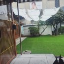 반월정 | 더현대 대구 맛집💟 양식은 역시 <반월정>에서!😍