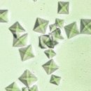 ACE동물병원 이미지