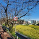 웅천 소류지 이미지