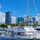 (유)제일관광 이미지