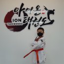 아이온태권도 이미지