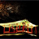 수복정 - 거창군 | 수복정
