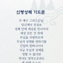 Re:신영성체 춘천교구 기도문입니다 이미지