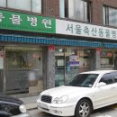영중동물병원 네이버블로그