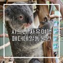 럭키코알라 | 시드니 가볼만한곳 페더데일 동물원 가는법, 입장권 할인, 코알라 후기
