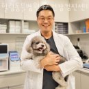 힐링동물병원 &  건강검진센터 이미지