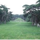 나살던고향 이미지