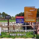 평해사구습지 | [울진가보고싶은곳] 경북동해안 국가지질공원, 평해사구습지 #RoAD