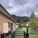 토토멍 애견풀빌라 | 가평 멍밸리 애견풀빌라 201호 내돈내산 후기