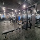 티엘티 바디킹 이미지