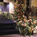 보보소프트 이미지