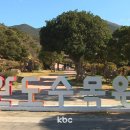 전라남도산림연구원완도수목원