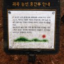 괴곡성벽길 이미지