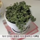 법원공무원교육원