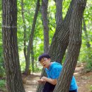 불위에서노는닭 이미지