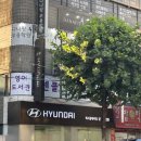 부천중동센트럴1리딩클럽어학원