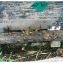 이정환농장 이미지