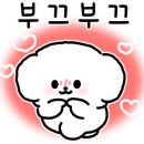 퍼피루시드 네이버블로그