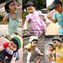 빅토리애견 이미지