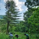 산지농장 이미지