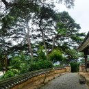 호계천변 이미지