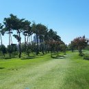 구지1호 공원 파크골프장 이미지