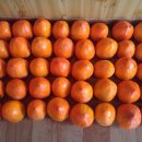 24호선 국도변 이미지