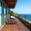 고흥바다장어 이미지