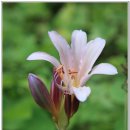 어물동마애여래좌상 이미지