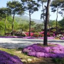 큰골민박 이미지