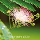 나무와숲 이미지