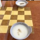 제주 돈까스 맛집 : 유별난 생돈까스 (유튜버 히밥 추천)