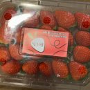 아슬라 호스텔 이미지