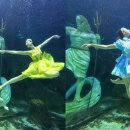 대전아쿠아리움 이미지