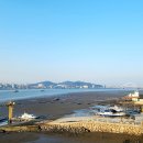 송림나무시장