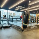 코지앤핏 이미지