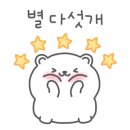 대전 강아지분양 고양이분양 파라다이스펫본점 이미지