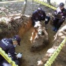 다형바이오 이미지