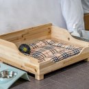 펫티움애견펜션 이미지