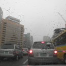 독도게찜 이미지