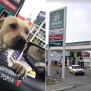 은혜주유소 이미지