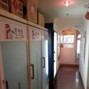 버블캣츠 이미지