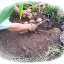 횡성산촌민박 이미지