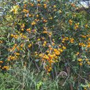 안포마을 이미지