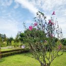 미사한강2호공원 이미지