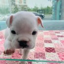 펫월드 경산임당점 이미지