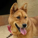 청년배달 이미지